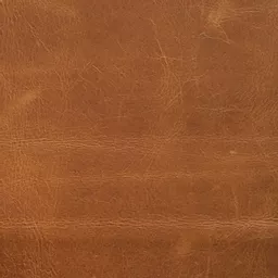 1537540406-38990000.jpg?