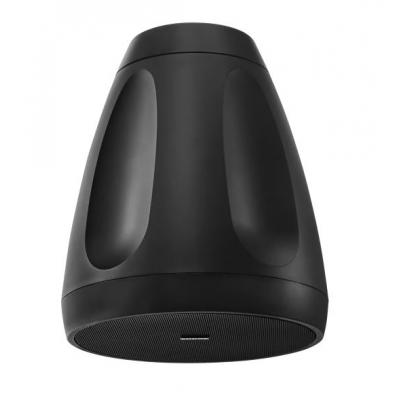 Shure MXP-6B Pendant Passive Loudspeaker