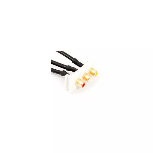 rsz_0_800_b74a1_white_three_rca_euro_module.jpg?