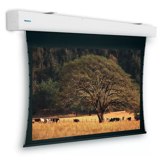 a_-tNIfQHEGCtQzRZJ3-Uw.c-r.jpg?