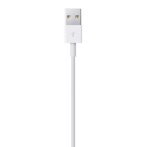 Apple Lightning to USB Cable (0.5 m)