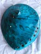 Polished Blue Abalone