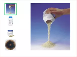 1649749566f5b555a0782a06fc39a32ec4cd407830.PNG?