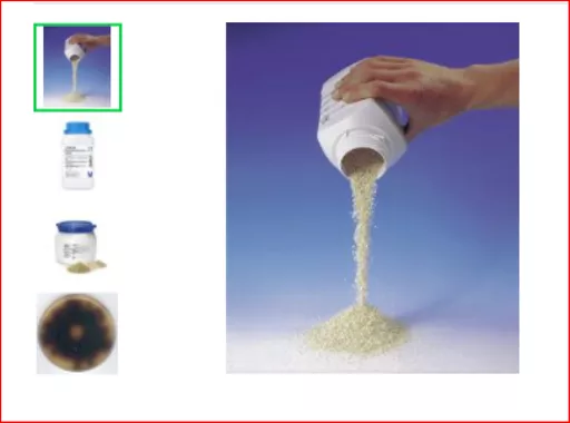 1649749566f5b555a0782a06fc39a32ec4cd407830.PNG?