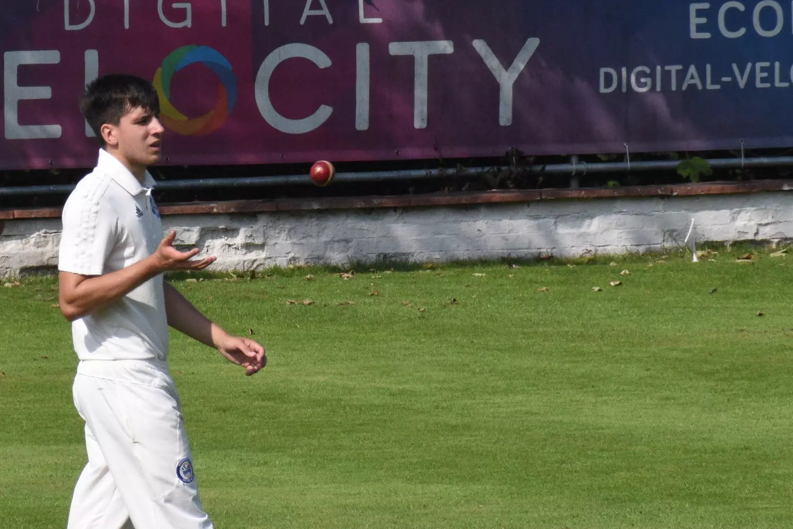 Thongsbridge's Balmforth Is Top Young Gun Huddersfield Cricket League