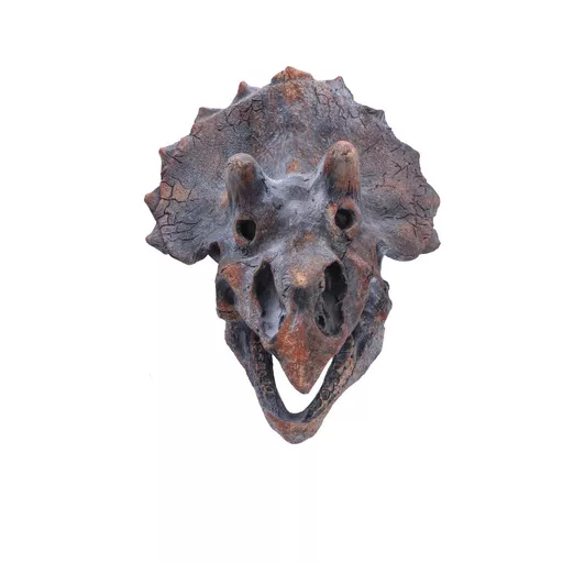 Triceratops 23cm (3).jpg