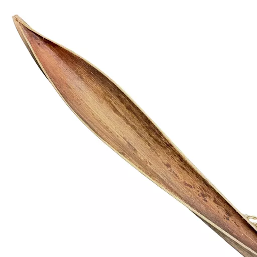 Egyptian Scoop 4.jpg