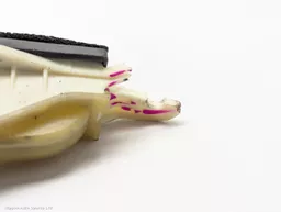 2c0e49fd-3255-4a85-91aa-918f5745a4e6.jpeg?