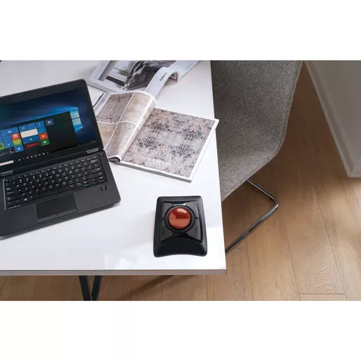 y62O4F5y0U6-AlR1a1t1jg.c-r.jpg?