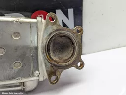 06df7fbf-cfa7-4644-8f8a-ae315927e7ae.jpeg?