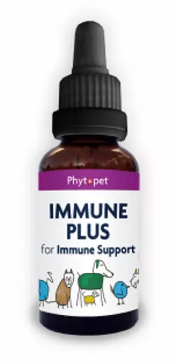 Immune_plus_bottlewebp.webp