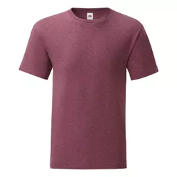 Men's Iconic 150 Tee