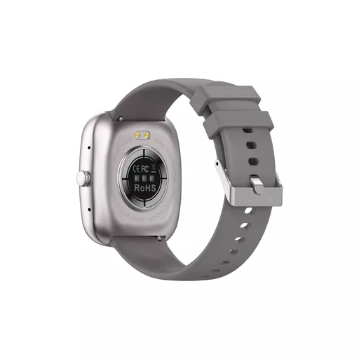 DEV-WT5-SW-GRY4 (Copy).png