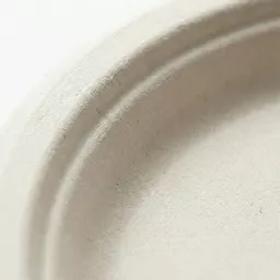 _0000s_0001_6_ Round Bagasse Plate.jpg
