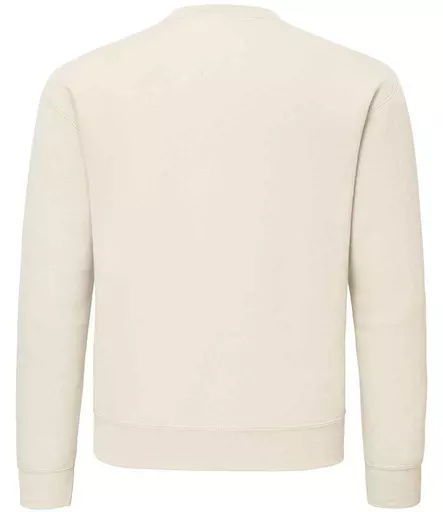 SS141%20DSN%20BACK.jpg?