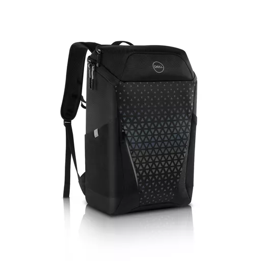 DELL GM1720PM 43.2 cm (17
