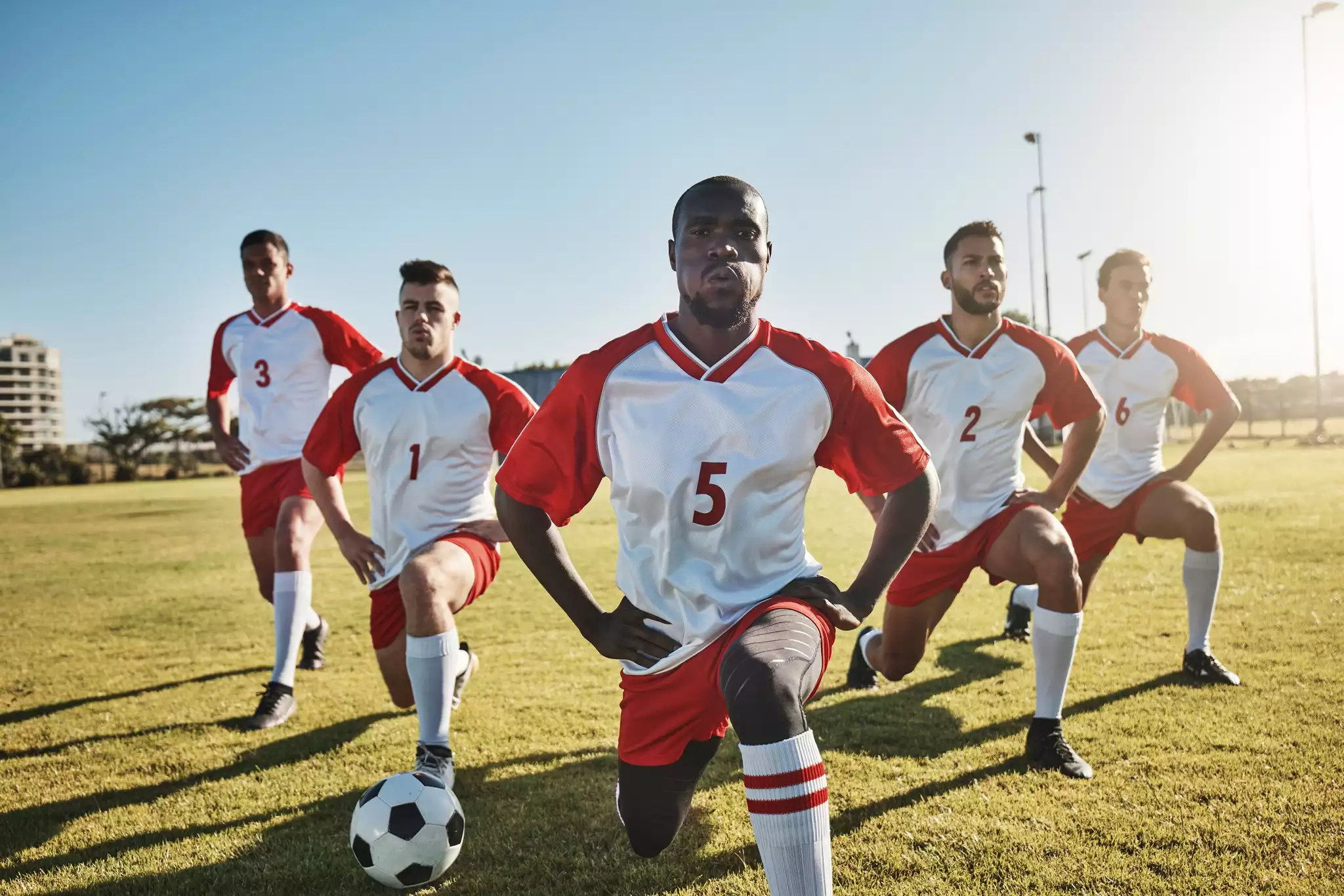 iStock-1444989035.jpg