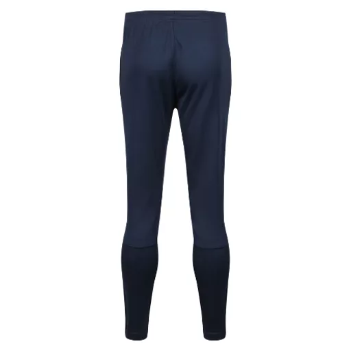 Chadwick_IgenTaperedPant_Navy_Back.png