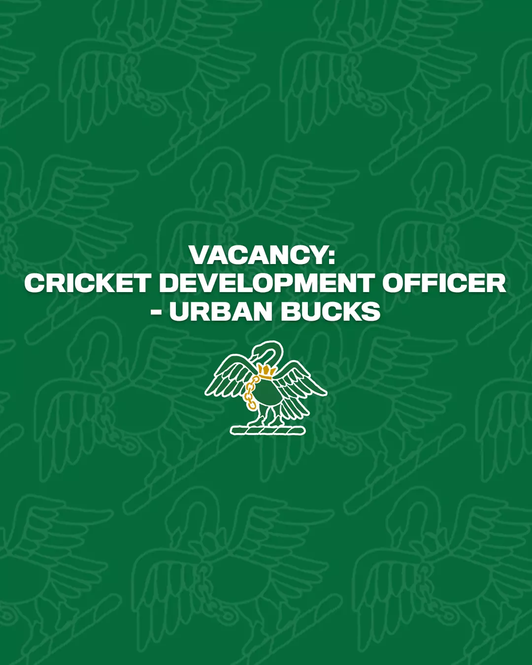 ROLE VACANCY: Cricket Development Officer - Urban Bucks