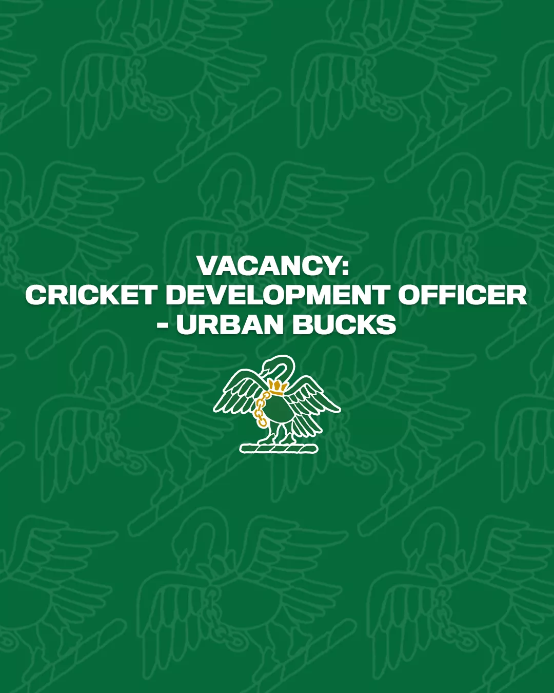 ROLE VACANCY: Cricket Development Officer - Urban Bucks