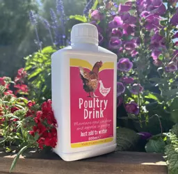 Battles Poultry Drink bottle in sunshine