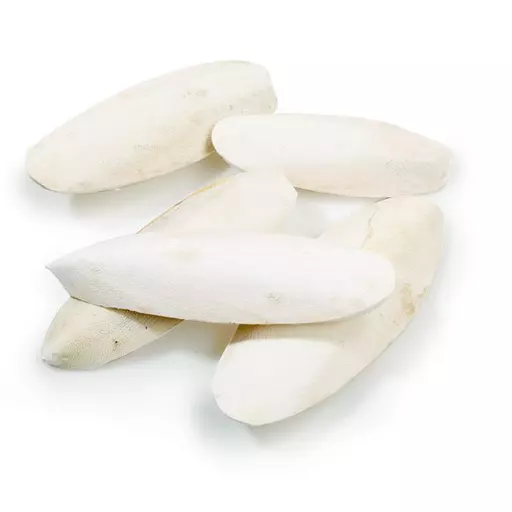 Cuttle Fish Bones (90g)