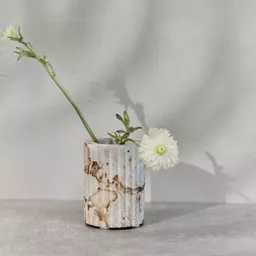 Screenshot 2025-11-26 at 11.59.07.jpg