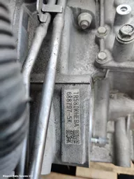 cd904e30-7df8-40f7-8dda-802a20fcd3b2.jpeg?