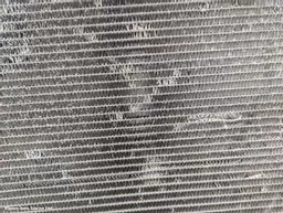 39cf3e0e-120e-413d-a2e8-17426eac18a4.jpeg?