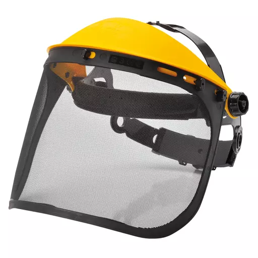 Browguard with Mesh Visor