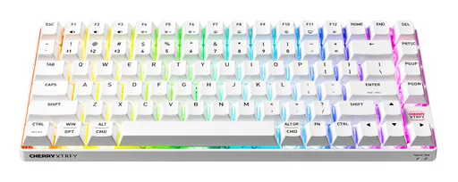 XzRfwjoQ10q-x5hFgd7bkQ.c-r.jpg?