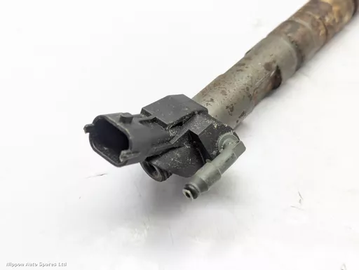 4b11b083-dc26-45b4-bd6e-15420ee22380.jpeg?