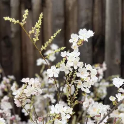 Screenshot 2026-01-28 at 10.34.05.jpg