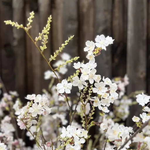 Screenshot 2026-01-28 at 10.34.05.jpg