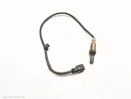 63f66e36-d2d5-4852-9a7a-c6ffaa60657f.jpeg?