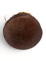 big skin drum 2.jpg