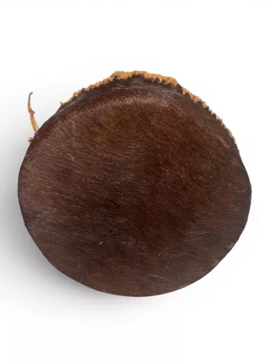 big skin drum 2.jpg
