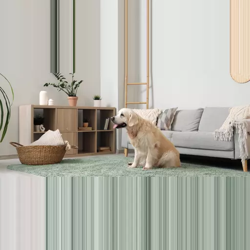 Shopblocks Recipes 2 (1).png