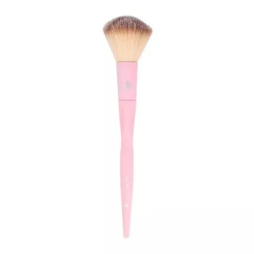 Brushworks HD Blush Brush