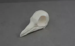 Pigeon 2.jpg