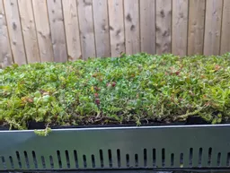 Mr Green Roof Edge Trim 1m.jpg