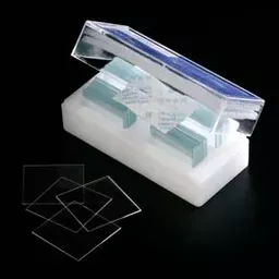 1770209159085e5ee00ad0333bb964a91da6a233b0.png?