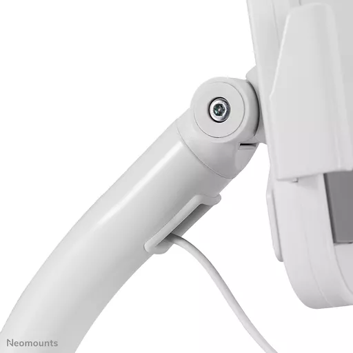 zeddiXDXn0OMIUvJZf3E1w.c-r.jpg?