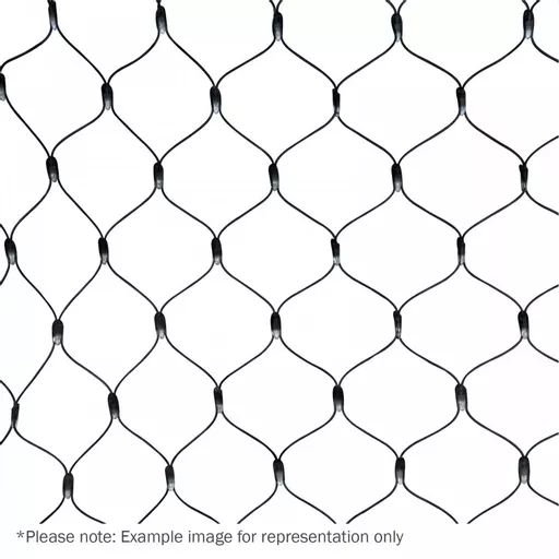 1718886500-15177300.jpg?