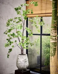 Green Tree 3 Large.jpg
