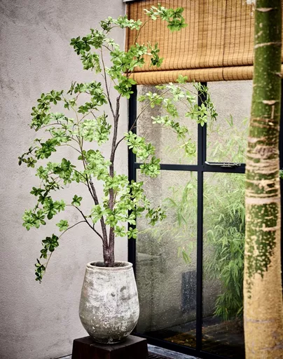 Green Tree 3 Large.jpg