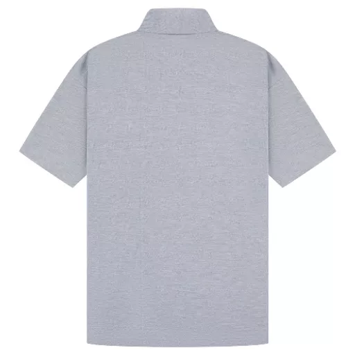 CasualClassics_ClassicRingspun190RegularFitPoloUnisexC101_SportGrey_Back.png