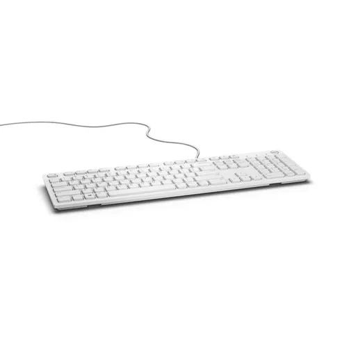 DELL KB216 keyboard USB QWERTY UK English White