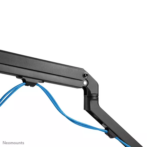 Neomounts monitor arm desk mount