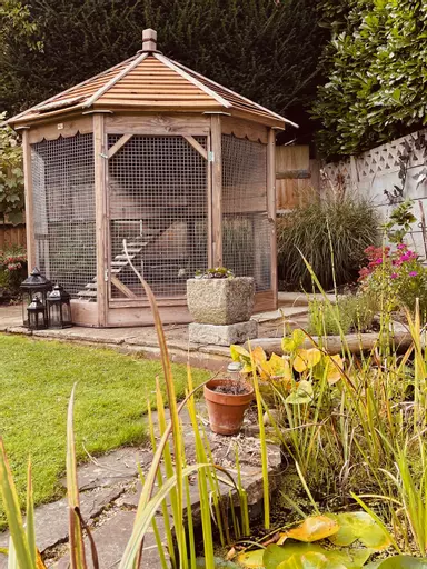 Octagonal_Garden_hen_house_c.jpg